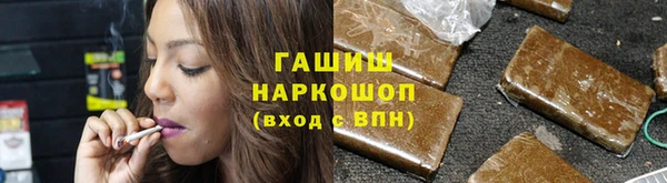 PSILOCYBIN Заводоуковск
