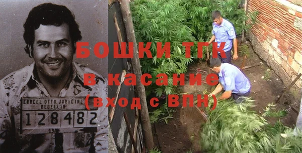 молекула духа Зеленокумск