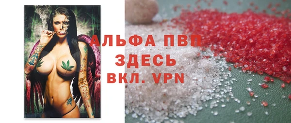 PSILOCYBIN Заводоуковск